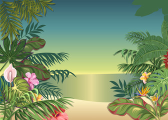 Fototapeta na wymiar Background with tropical plants and flowers. Dawn on the beach
