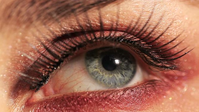 
Female eye with  cosmetic mascara,pupil and eyelashes. Macro studio shot
