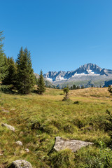 Obraz premium Peak of Care Alto - Adamello Trento Italy