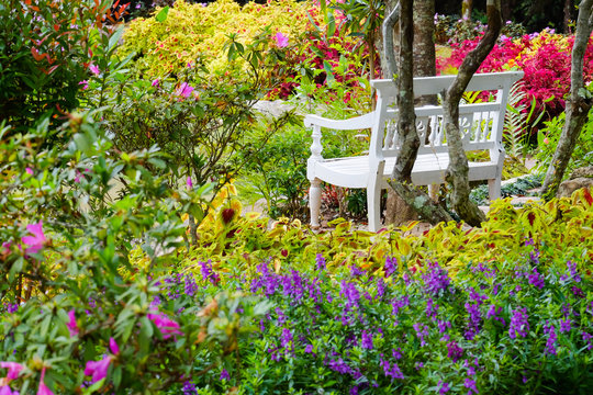 White chair in flower garden