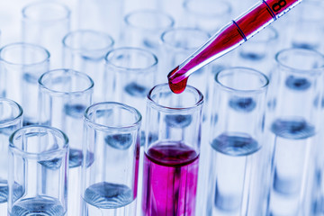 laboratory glasses at experiment in chemistry laboratory