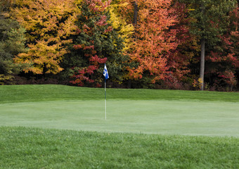 Obraz premium Golf course putting green with autumn foliage.