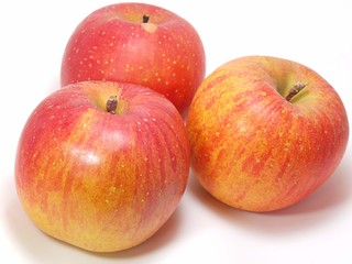 サンフジリンゴ