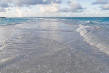 The beach on an island with waves