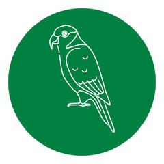 Lory parrot icon in thin line style