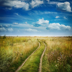 Fototapeta na wymiar Summer country road and fields on the background of the blue beautiful cloudy sky. 