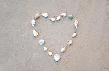 Fototapeta na wymiar a heart made of shells on the sand