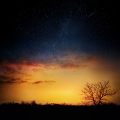 Milky way and stars over night forest. Silhouettes of trees. Elements of this image furnished by NASA.