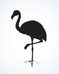 Flamingo. Vector drawing