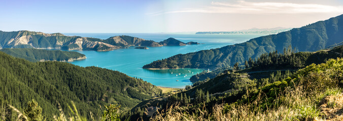 Queen Charlotte Sound in New Zealand © Natalia