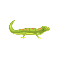 Lizard, amphibian animal cartoon vector Illustration