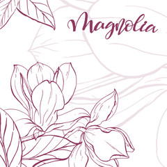 Sketch linear magnolia blossom.