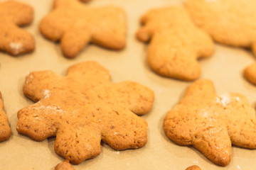 Ginger biscuits lie on a baking sheet. Cookies on baking paper. Selective focus.
