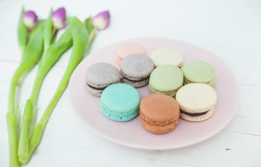 Dessert Handmade Macarons and Tulip