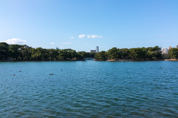 Obraz premium hakata garden