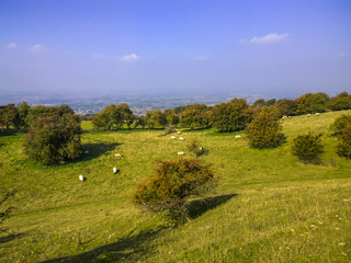 Obraz premium broadway tower country park cotswolds worcestershire english midlands england uk