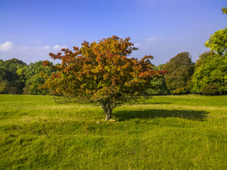 Fototapeta na wymiar broadway tower country park cotswolds worcestershire english midlands england uk