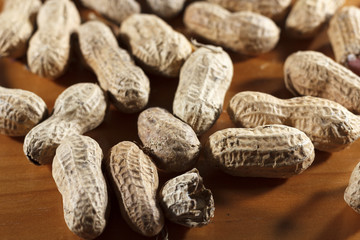 isolated peanut in a table