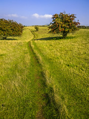 broadway tower country park cotswolds worcestershire english midlands england uk