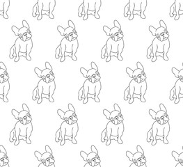 French Bulldog on White Background - 190068230