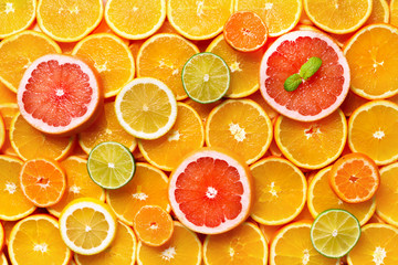Citrus fruits background (orange, lemon, grapefruit, mandarin, lime). Food frame, vitamin concept, copy space, banner
