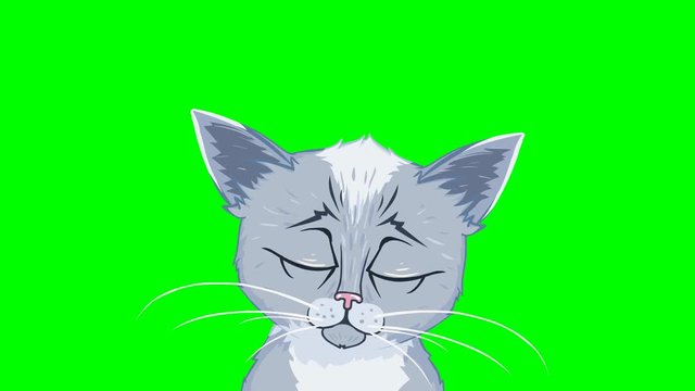 2D Cartoon Kitten with Tearful Eyes. Green screen - Chroma key. With alpha matte.