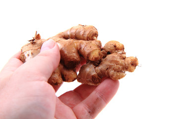 ginger root isolated