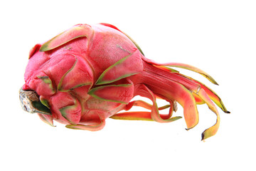 dragon fruit isolated