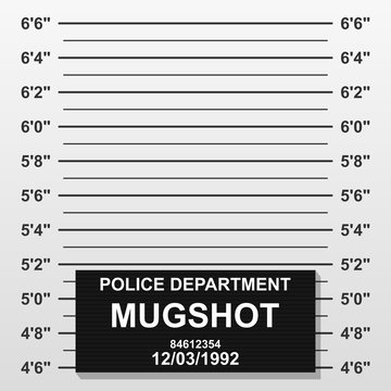 Criminal mug shot line. Police mugshot add a photo. Blank criminal police lineup with centimeter scale for photograph. Vector illustration