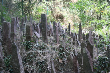 Val sans Retour Broceliande Arbre d'Or Lancelot Morgane Chevalier de la Table ronde