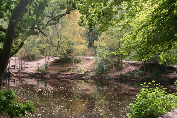 Val sans Retour Broceliande Arbre d'Or Lancelot Morgane Chevalier de la Table ronde