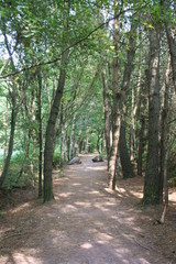 Fontainte de Barenton Broceliande Bretagne