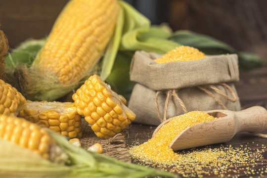 Fresh corn on cobs on rustic wooden table, top view. Dark wooden background freshly harvested organic corn. Corn grits in cloth sack. Shallow depth of field.