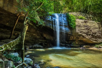 Fototapete Rund Serenity Falls and swimming hole in Buderim Forest Park, Sunshine Coast, Queensland, Australia © Martin Valigursky