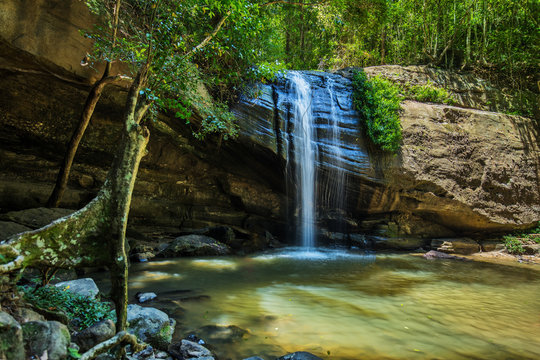 Fototapeta Serenity Falls and swimming hole in Buderim Forest Park, Sunshine Coast, Queensland, Australia