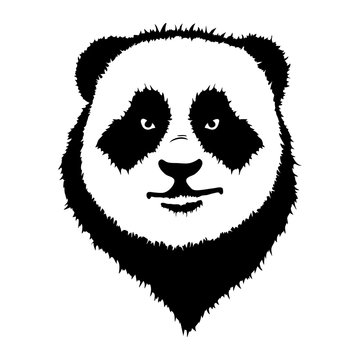 Isolated illustration of a panda head