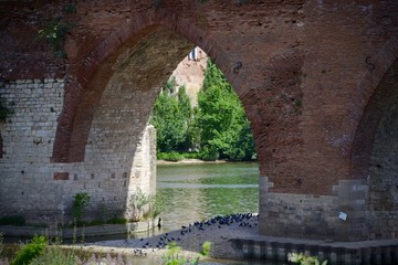 albi