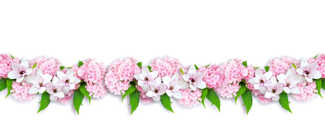Magnolia and hortensia isolated on white background
