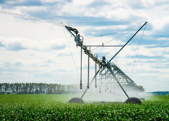 Fototapeta na wymiar An irrigation pivot watering a field