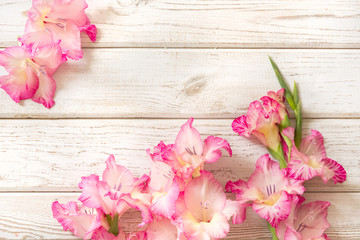 Pink gladiolus on a white wooden board. Copy space.
