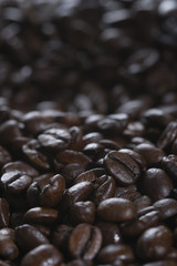 some roasted coffee beans photographed with backlight