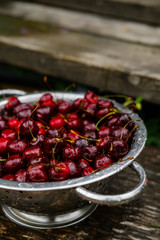 A large plate of fresh cherries. A new harvest of cherries with water drops. Photo in the garden.