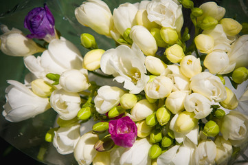bouquet of freesia
