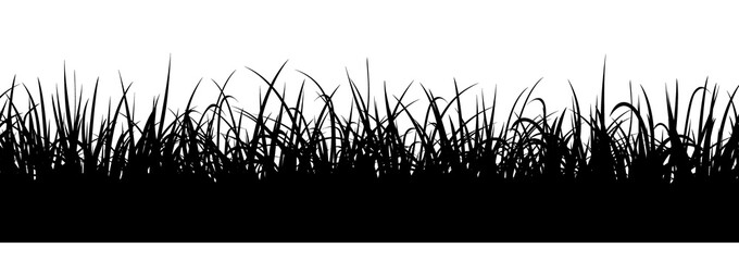Black grass silhouette, seamless illustration. Meadow border