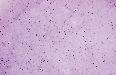 ender extract and grape seeds. Cosmetic texture. Selective focus. 