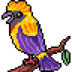 vector pixel art beautiful bird