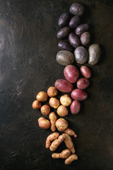 Variety of raw uncooked organic potatoes different kind and colors red, yellow, purple over dark texture background. Top view, space