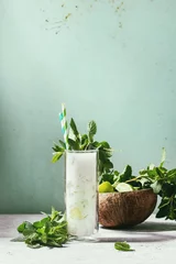 Tuinposter Glass of coconut milk mojito cocktail with fresh mint, limes, crushed ice, retro cocktail tubes with ingredients above. Pin up style, sunlight, green background. Toned image © Natasha Breen