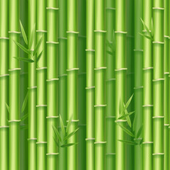Realistic 3d Detailed Bamboo Shoots Background. Vector