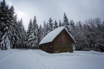 Winter landscape with wooden cottage. Lot of snow everywhere. Czech mountains.